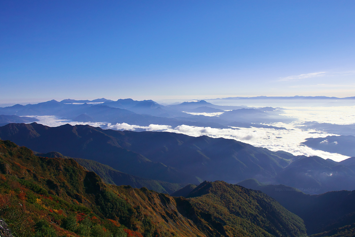 f0145362_21141251.jpg