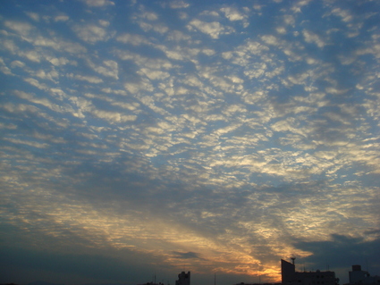 f0048168_11185637.jpg