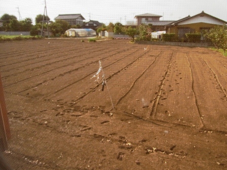 f0215475_17222110.jpg