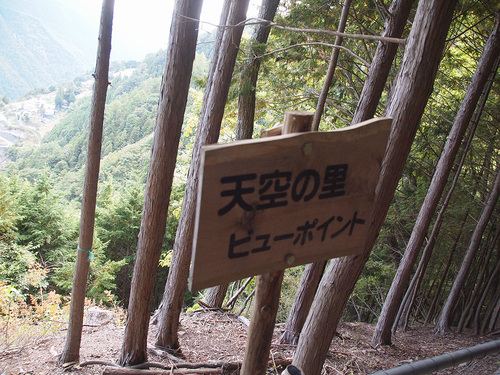 b0005376_2035619.jpg