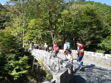 c0019376_14163181.jpg
