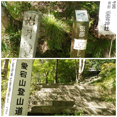 c0019376_14244395.jpg