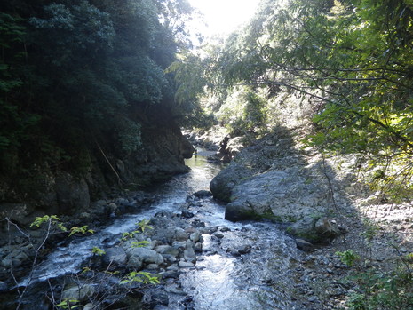 c0019376_1545583.jpg