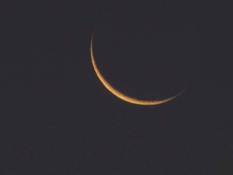 c0183777_652970.jpg