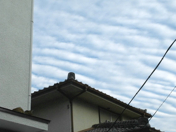 e0112077_7351255.jpg