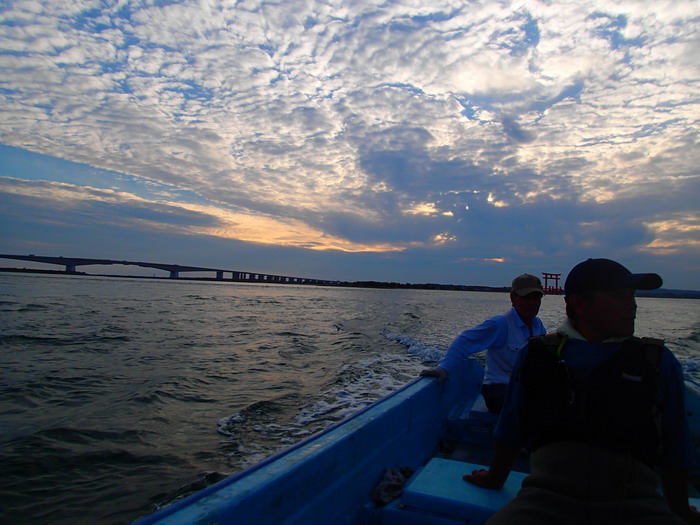 c0197578_40921.jpg