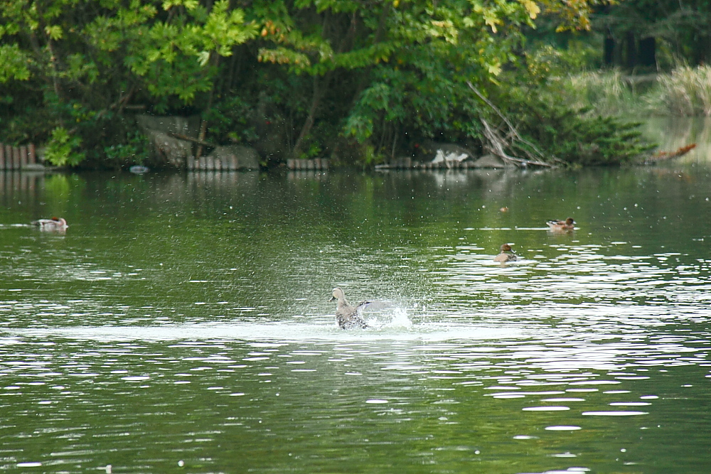 e0249878_23344461.jpg