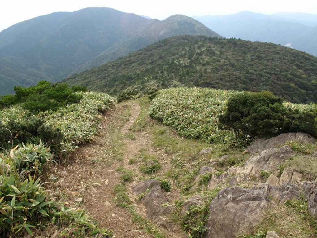 a0004180_21425912.jpg