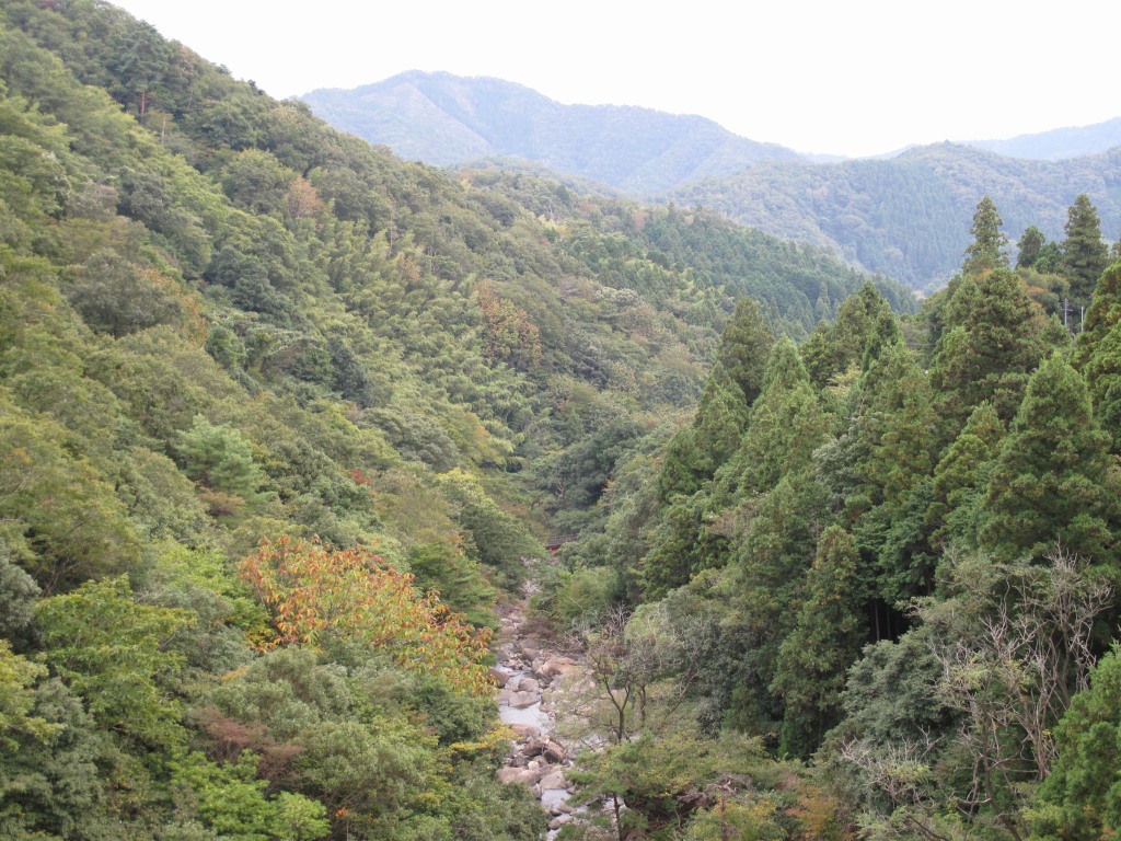 a0004180_21512838.jpg
