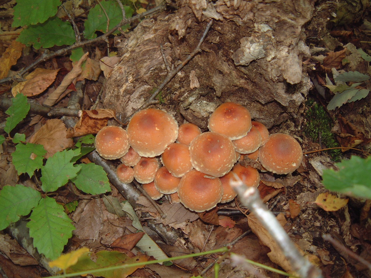 c0237780_21594638.jpg