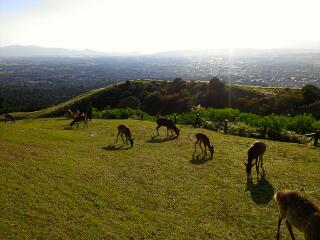 c0096582_2014339.jpg