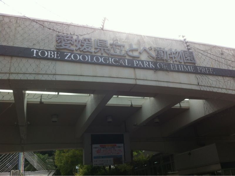 d0060984_20411976.jpg