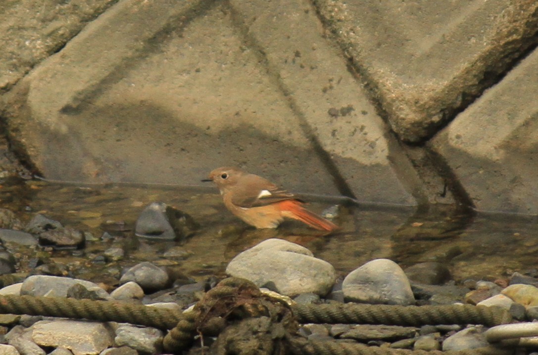 e0197884_12333256.jpg