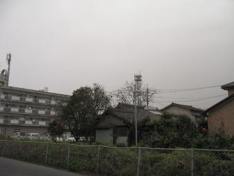 e0130185_20495823.jpg