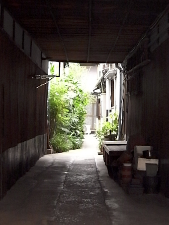 b0087187_194827.jpg