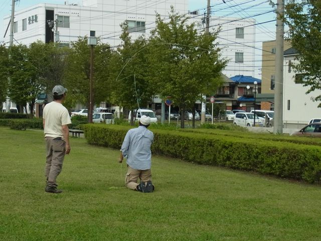 a0089288_1325236.jpg