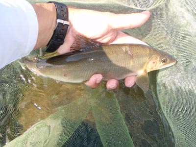 c0146788_1704648.jpg