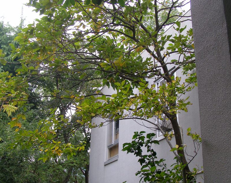 b0212396_221281.jpg