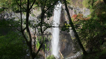 f0015796_2073033.jpg