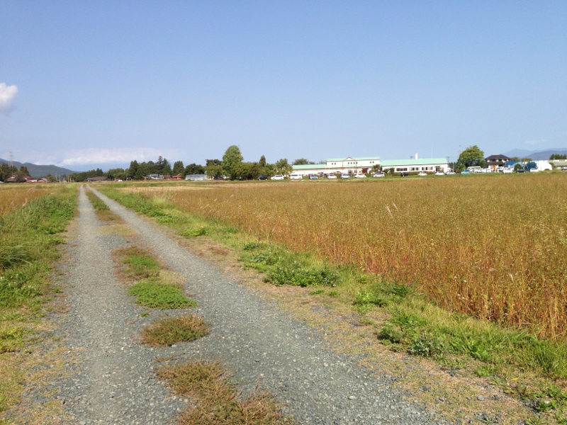 f0113797_10475812.jpg