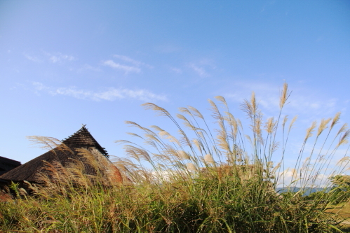 c0129498_1347141.jpg