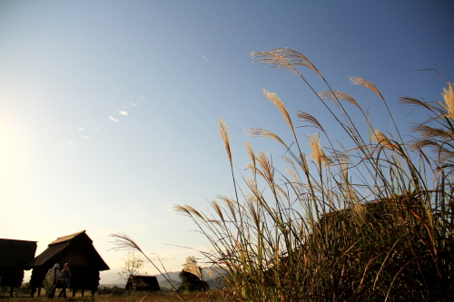 c0129498_1347277.jpg