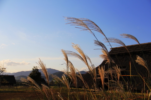 c0129498_1347848.jpg