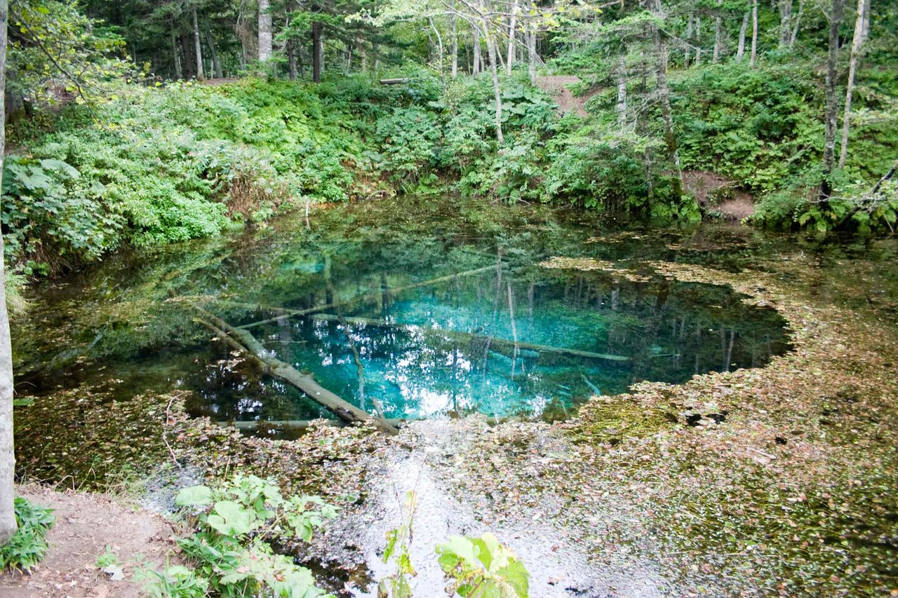 c0072801_321415.jpg