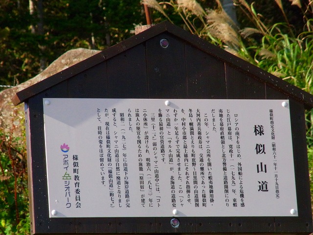 f0157901_2110547.jpg