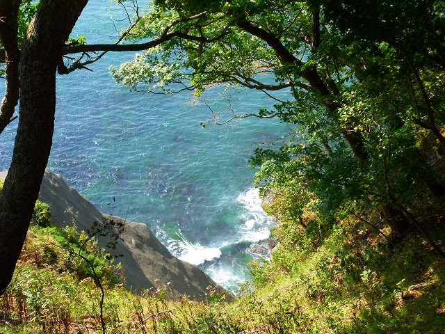 f0157901_21113677.jpg