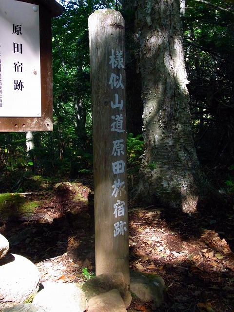 f0157901_21151215.jpg