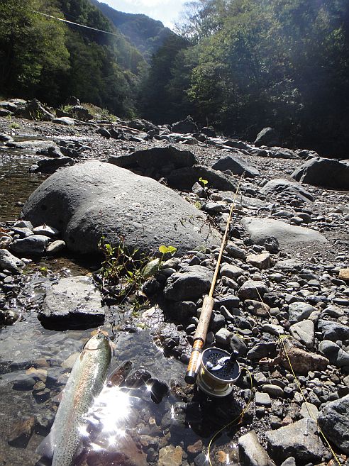 b0172805_205383.jpg