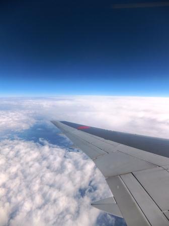 f0048405_1436683.jpg