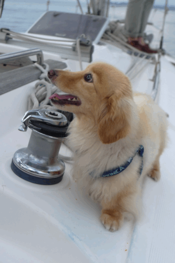 e0157816_9542055.gif