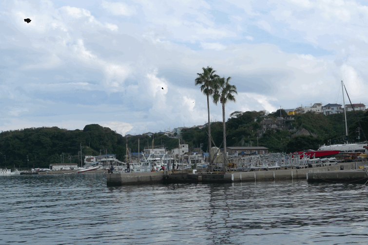 e0157816_9545867.gif