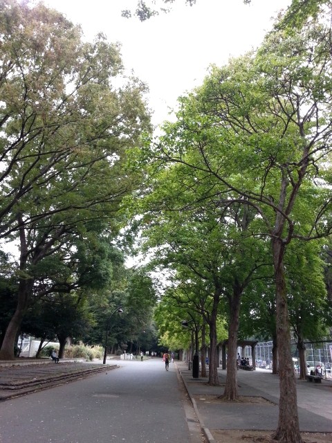 e0170519_1103195.jpg
