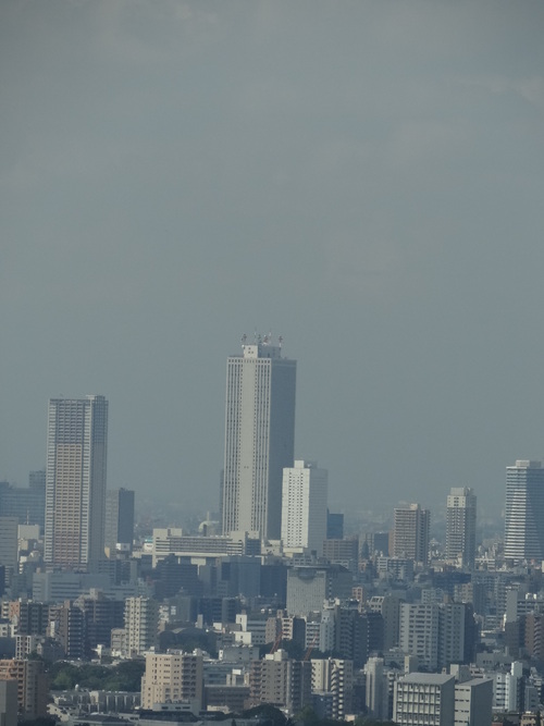 f0004019_22543010.jpg
