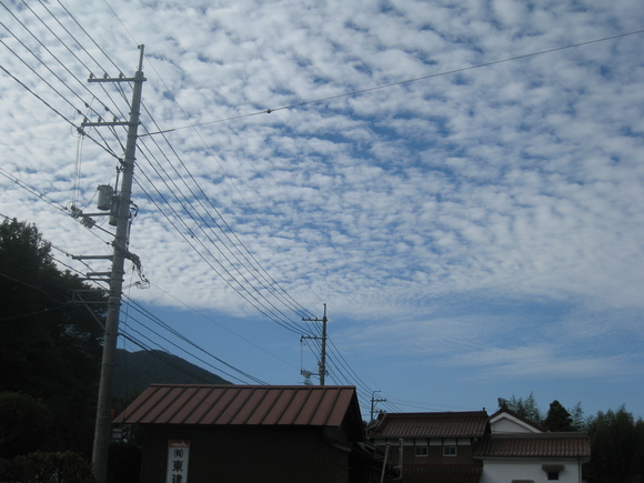 c0197220_7272031.jpg