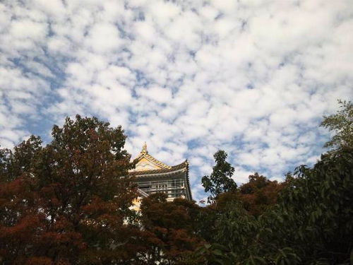 e0123920_21204594.jpg
