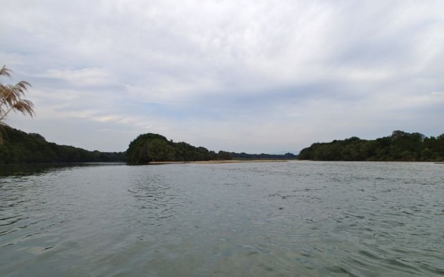 f0100920_2323665.jpg
