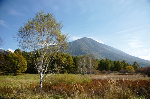c0124021_17251555.jpg
