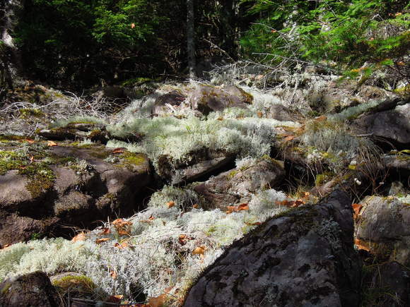 e0242423_6193389.jpg