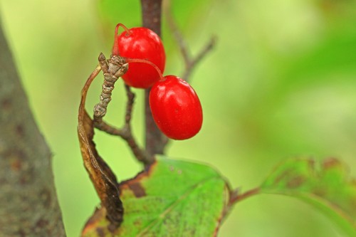 c0104227_0445443.jpg