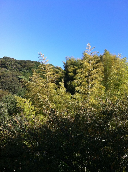 d0062132_1932957.jpg