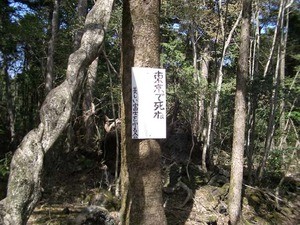 b0117837_10264210.jpg
