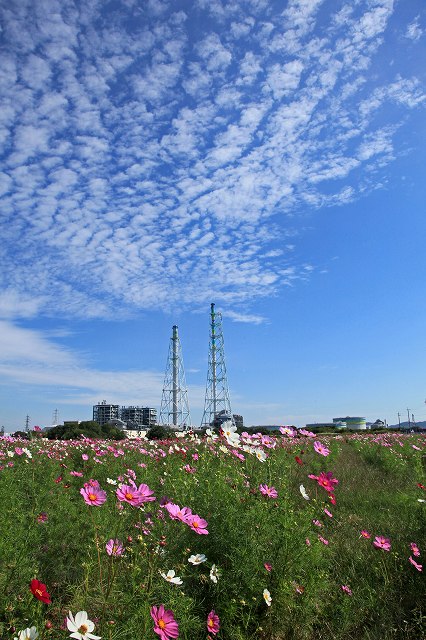 a0242438_1943986.jpg