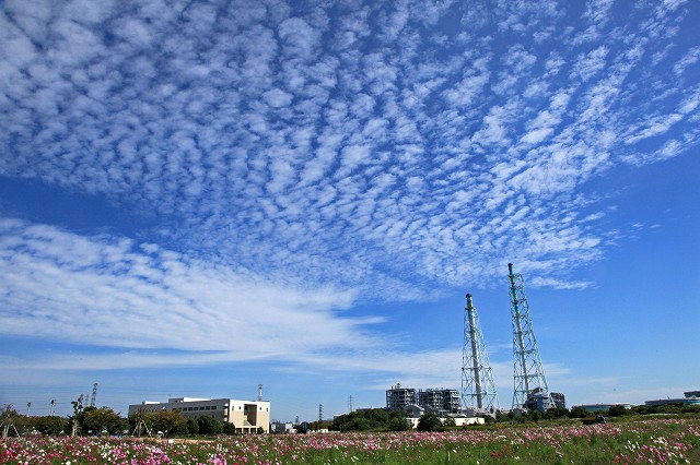 a0242438_1975890.jpg