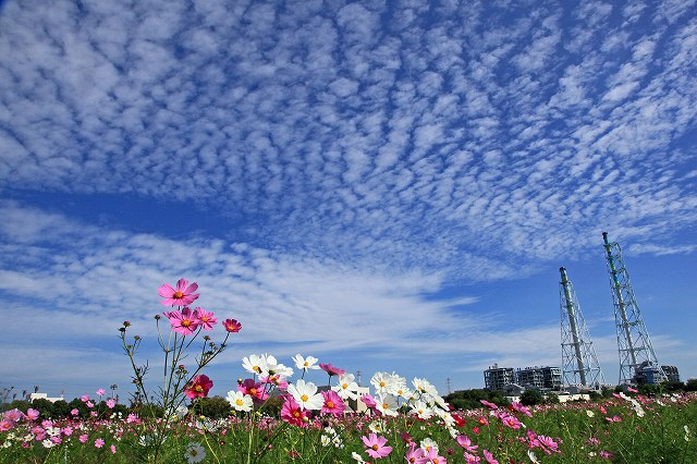a0242438_1981541.jpg