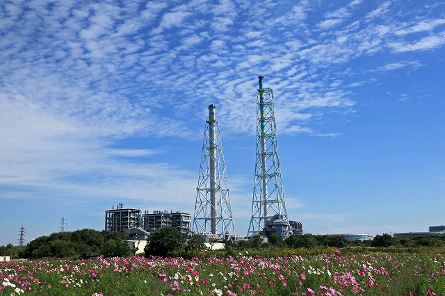 a0242438_1991676.jpg