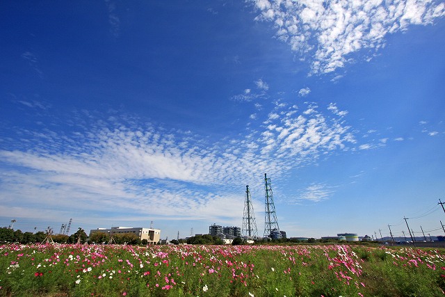a0242438_1993835.jpg